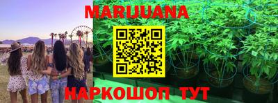 ГАЛЛЮЦИНОГЕННЫЕ ГРИБЫ Шахты